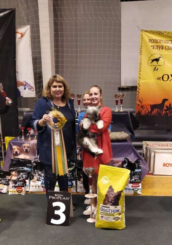 Aktsent Na Ulybku Dlya Liris