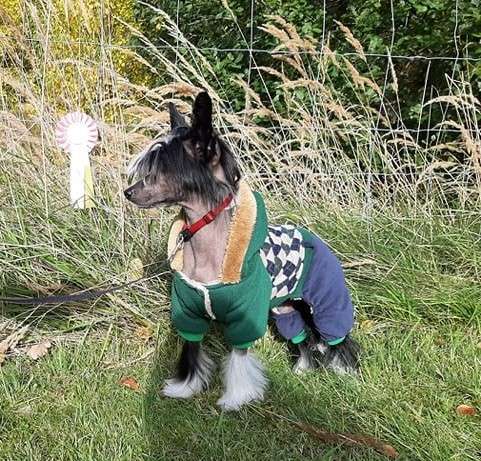 FutureLine Felicie Evita