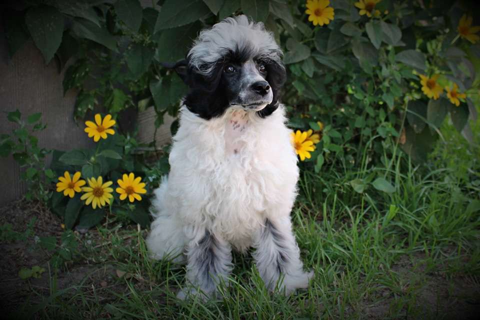 Bi Zita Naomi Miracolo Dell'anima