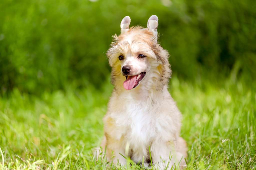 Kraspamir Every Breath You Take