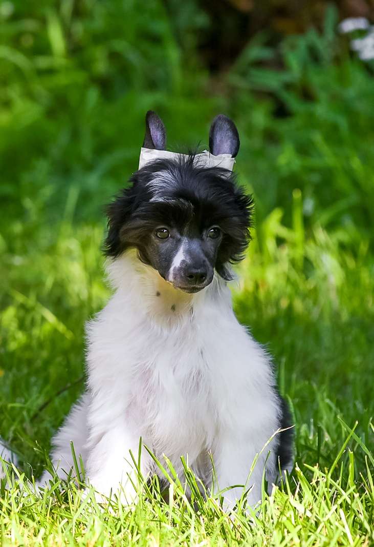 Kraspamir Eternal Love