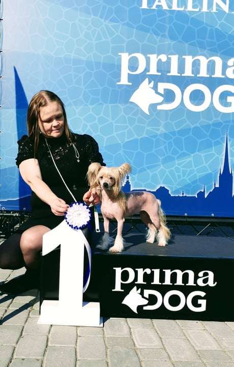 Concrete Clouds Nip It In The Bud