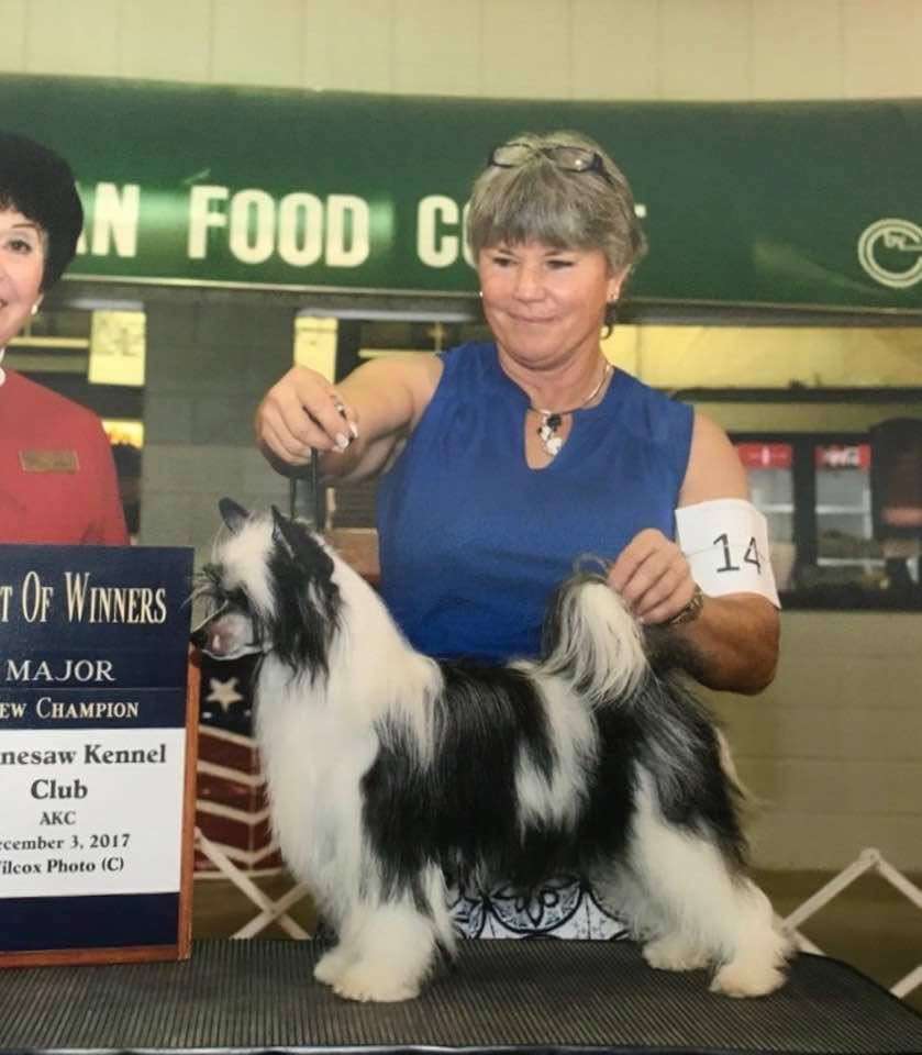 Blanch-o's Adore Throwing Shade