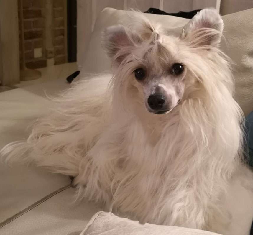 Gllori Glamour z Jaromerskeho panstvi