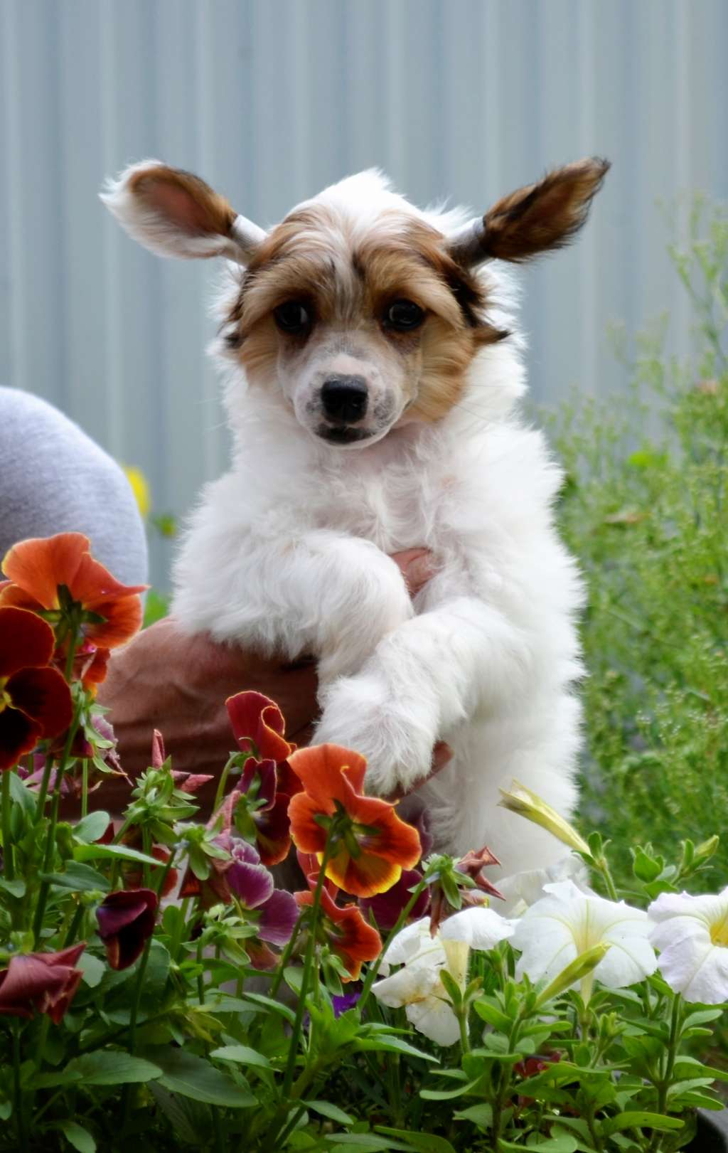 Glenlife Julie Gayet
