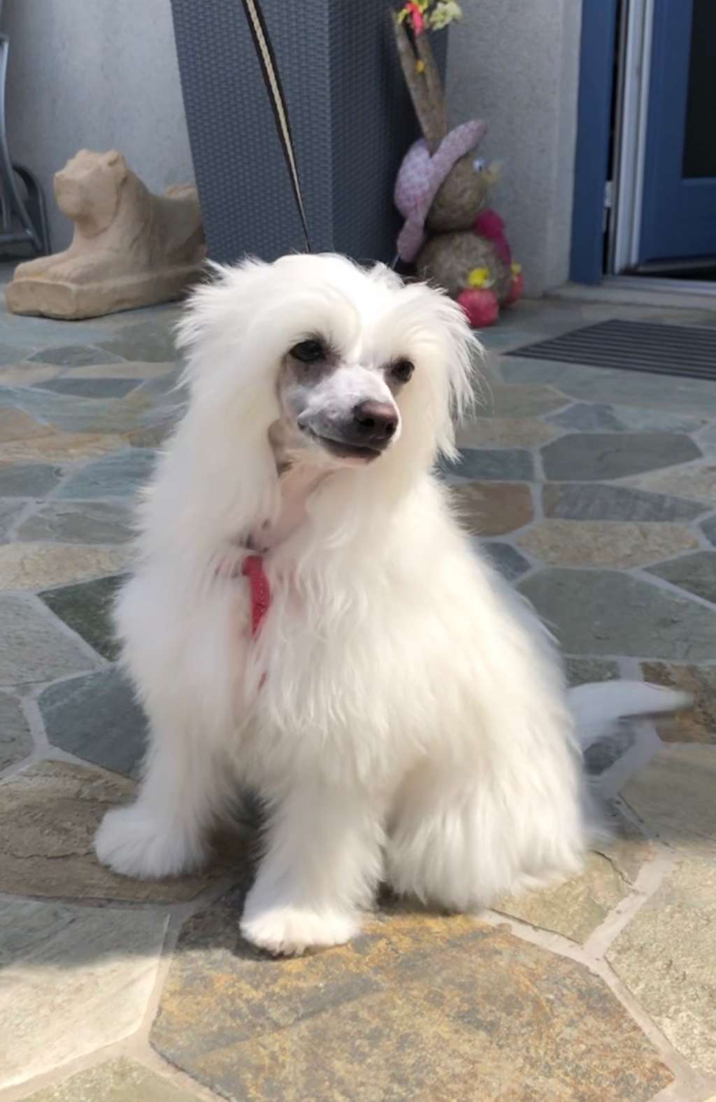 Jacadi Paris Caramella's Family