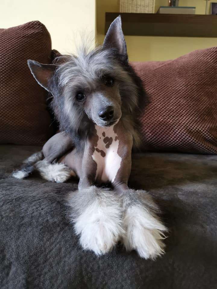 Fridfion Belanor Perwenys