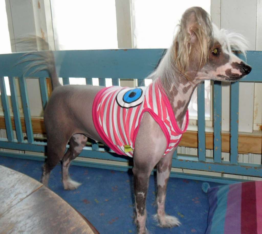 Geishamors Alvina Trollkappa