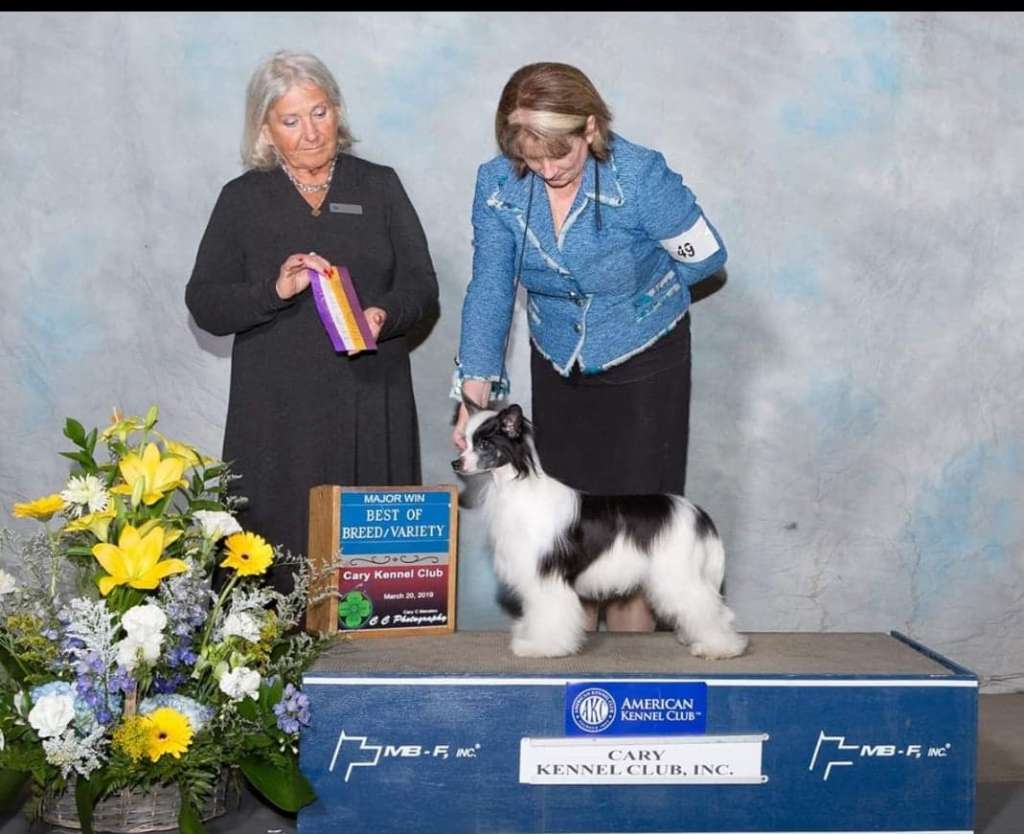 Palmetto's 3 Piece Suit