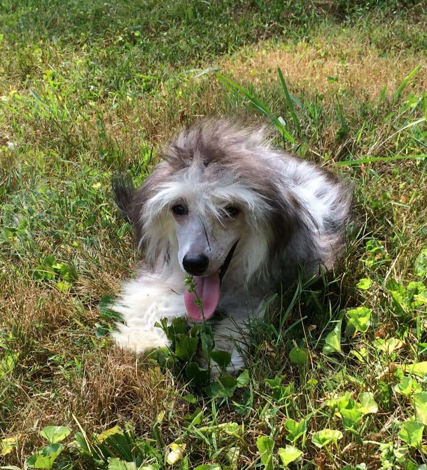 Grey Haven's Look at the State O' You