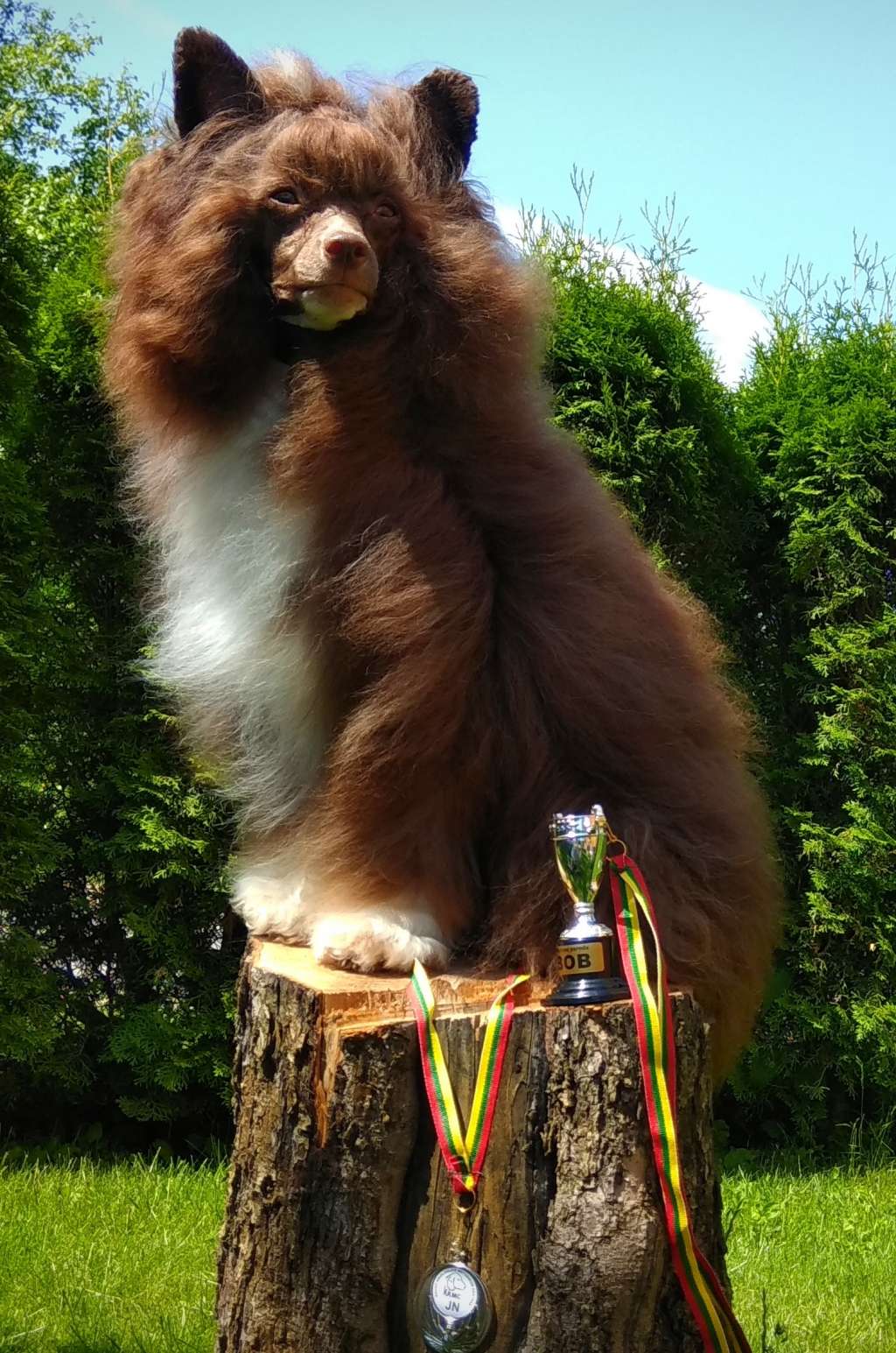 Muso Grazioso Karishma Dil Se Dil Tak