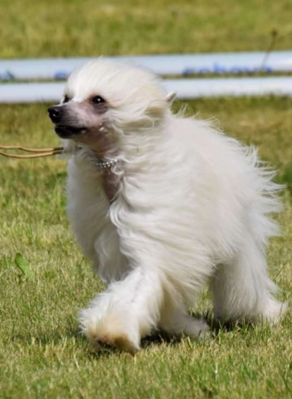 Pearlylove Alwaysonmymind