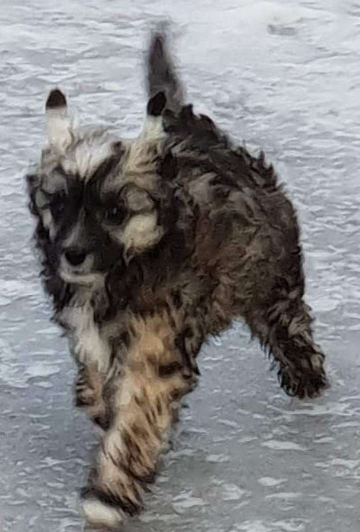 Pearlylove Hokuspokuslove