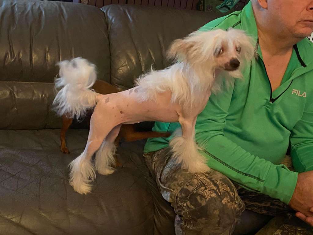 Gardine Move to the Rhythm