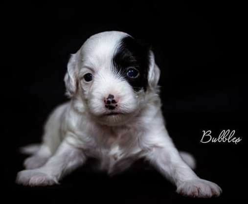 Healing Power Bubbles