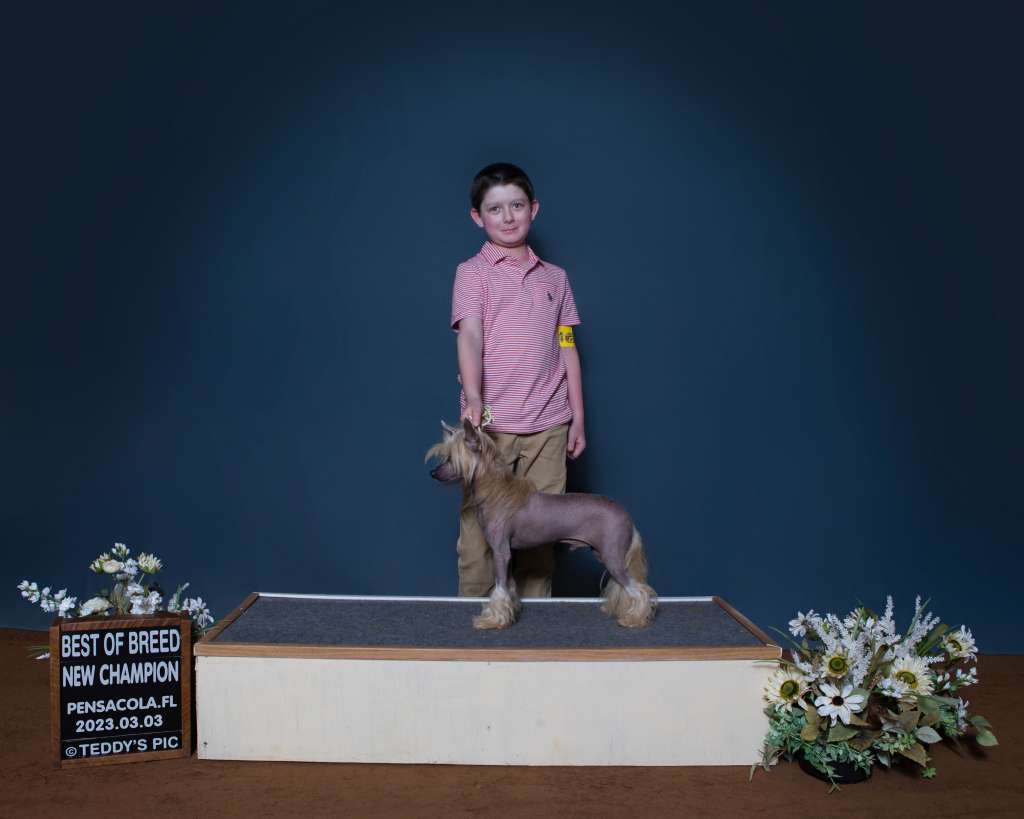 Int' CH Muso Grazioso Pride Rock