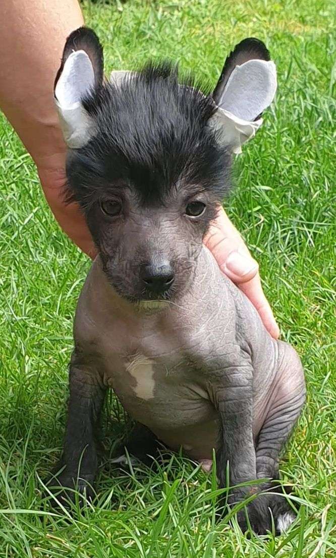 Andrea Mia Vita Felicita