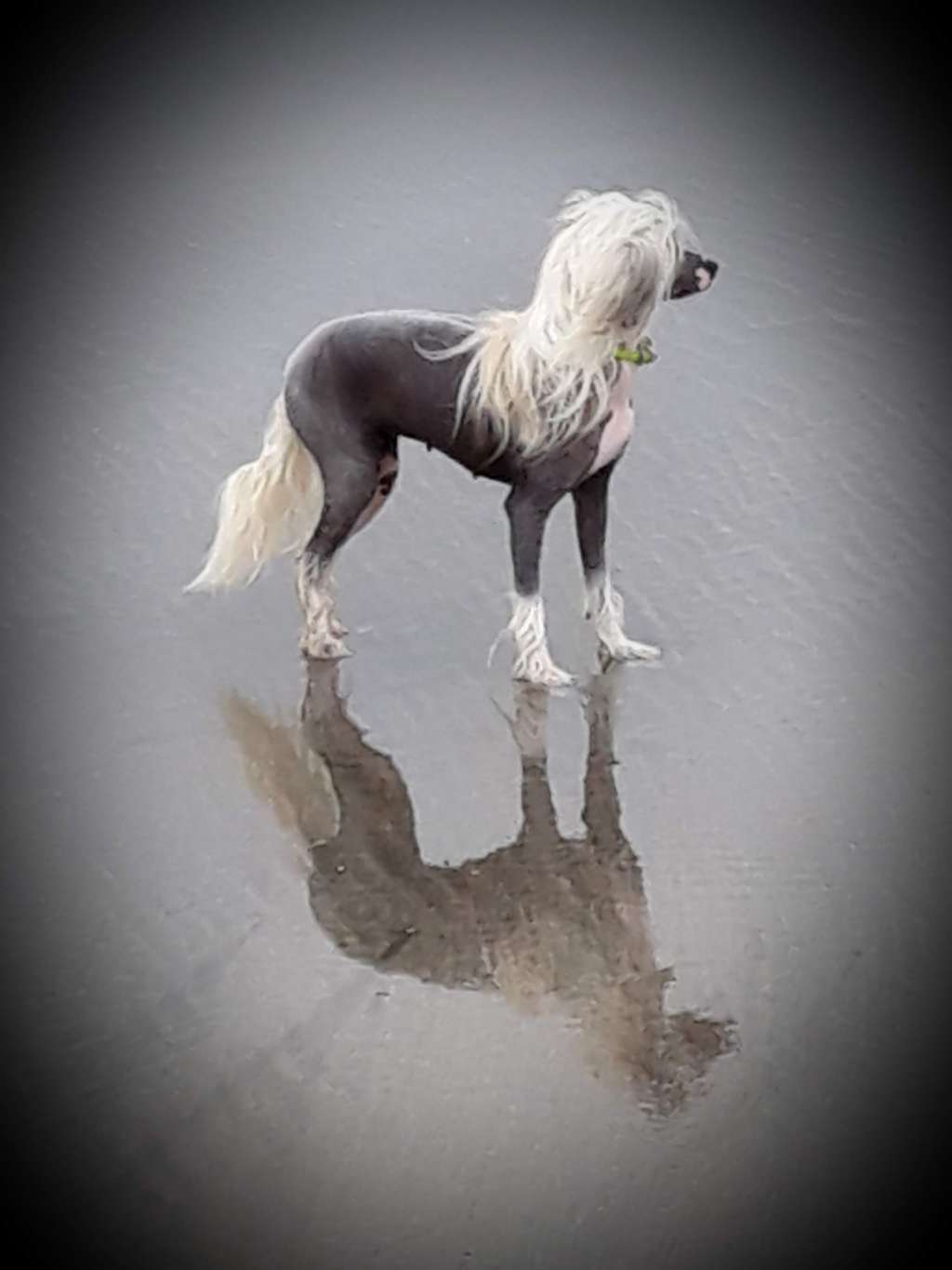 Doonbeg Least Said at Gallyhill