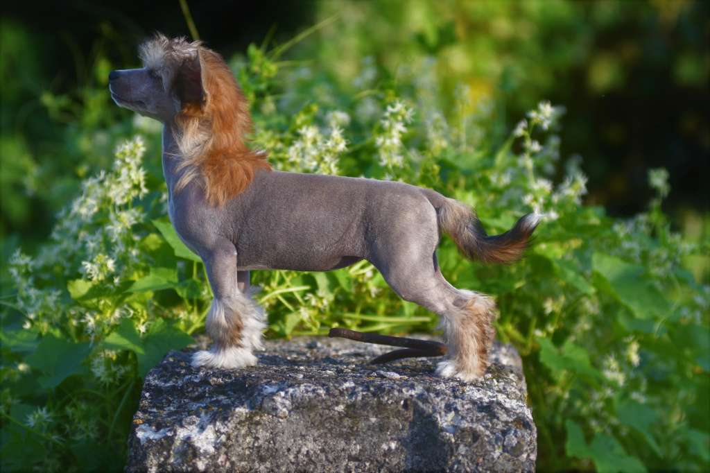 Egoistka Winning Smile