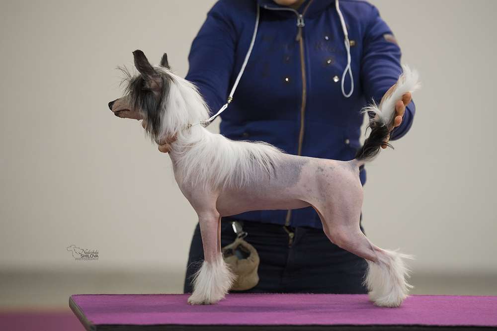 Grand Passage Carmelita