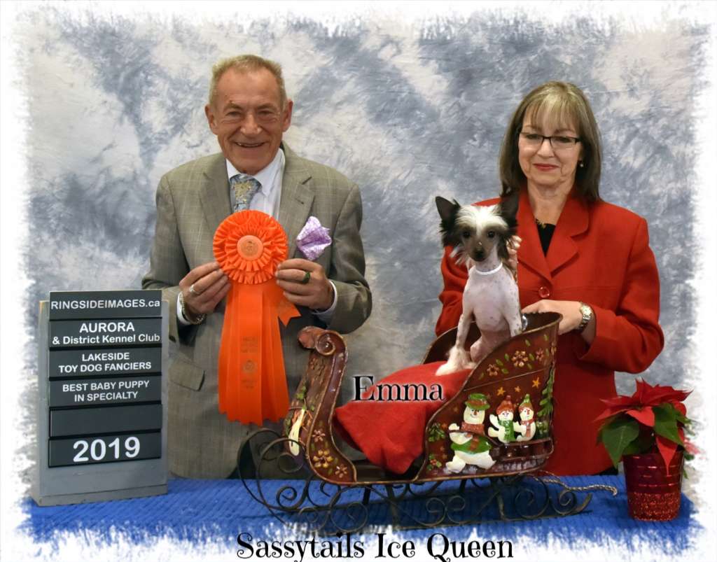 Sassytails Ice Queen