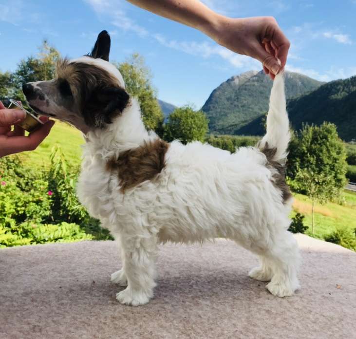 Moelmo's Absolutely Fabulous