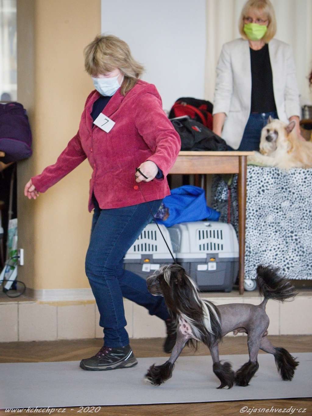 Forest Junior Modern Family