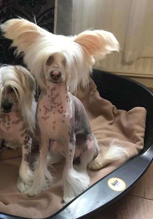 Fundoklia-völgyi Kaszanics Shioban