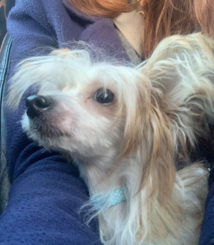 Parcauwen True Believer