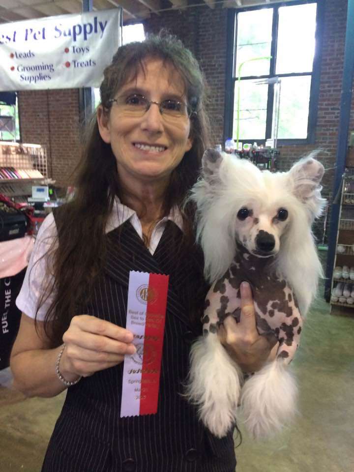 CH Shaws Ive Got This Neko