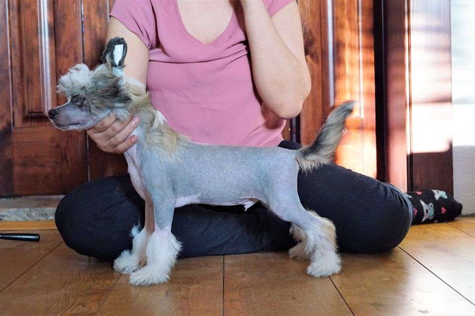 Heartbreaker Z Valdorfskych lesu