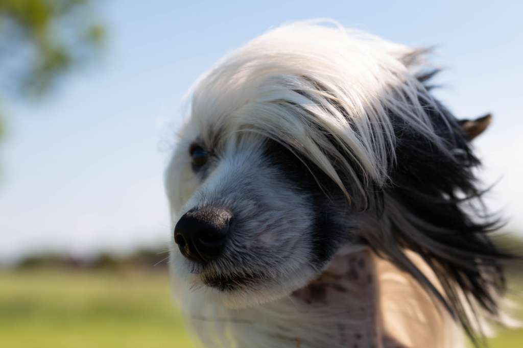 Happy  Z Valdorfskych lesu