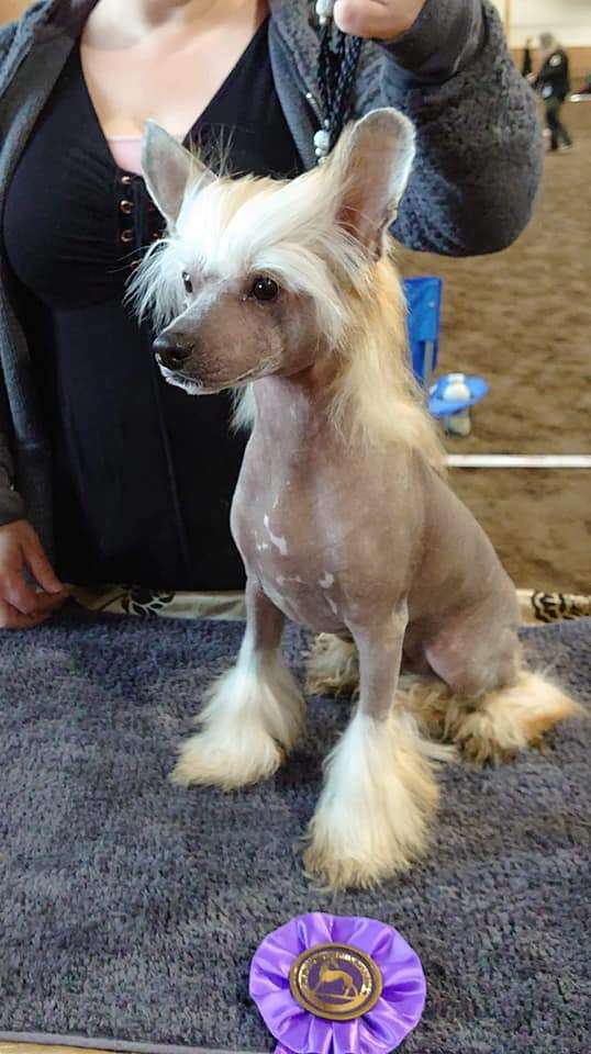 Ridgecrest's Street Magic