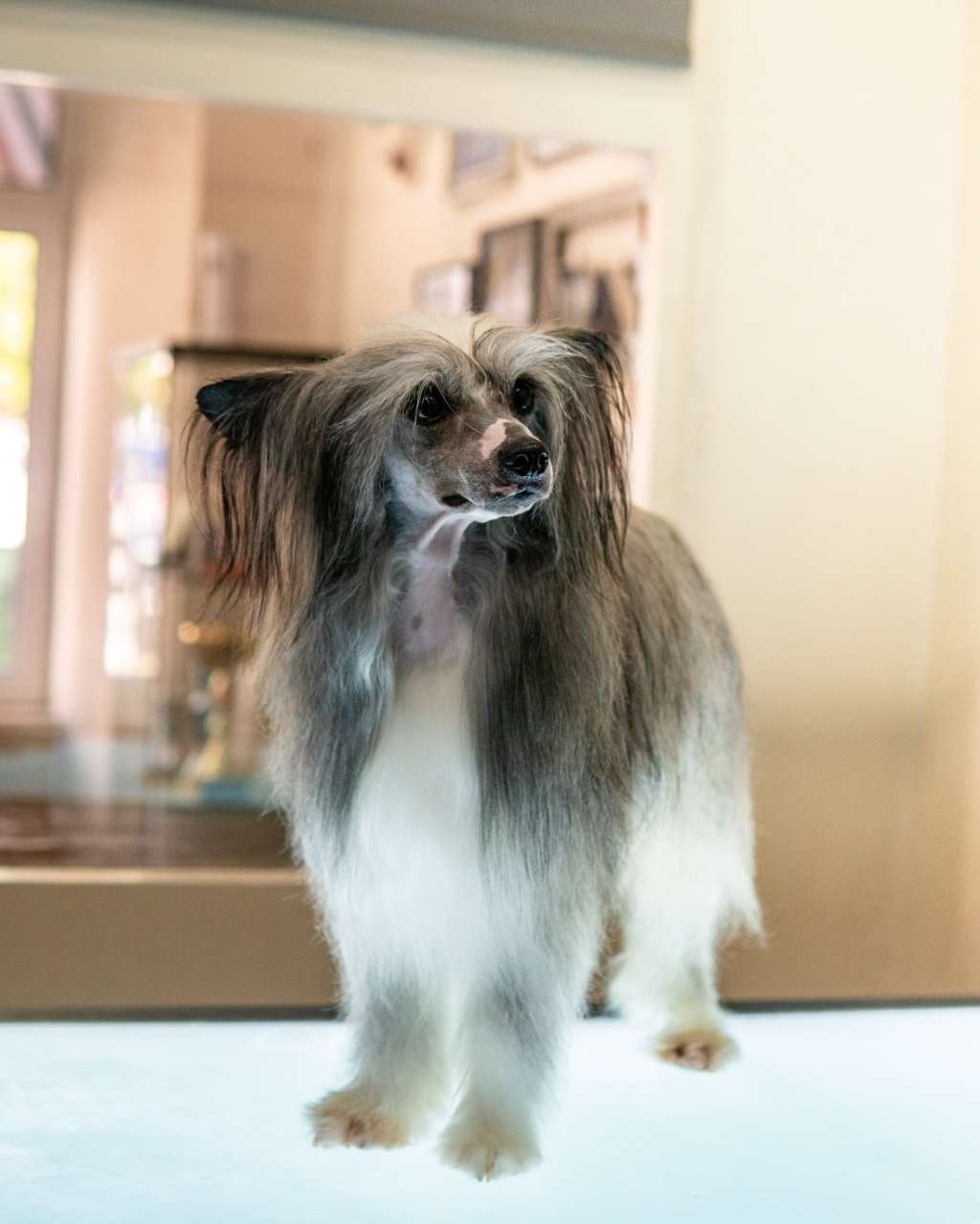 Moscovo De Lybóriu's Legacy