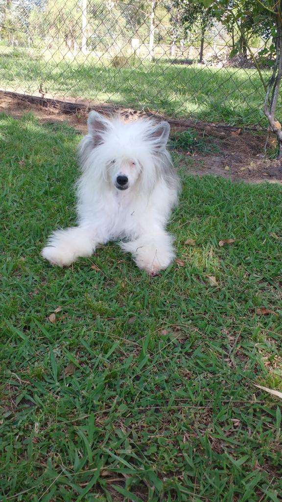 Patagonia Ranch Prada