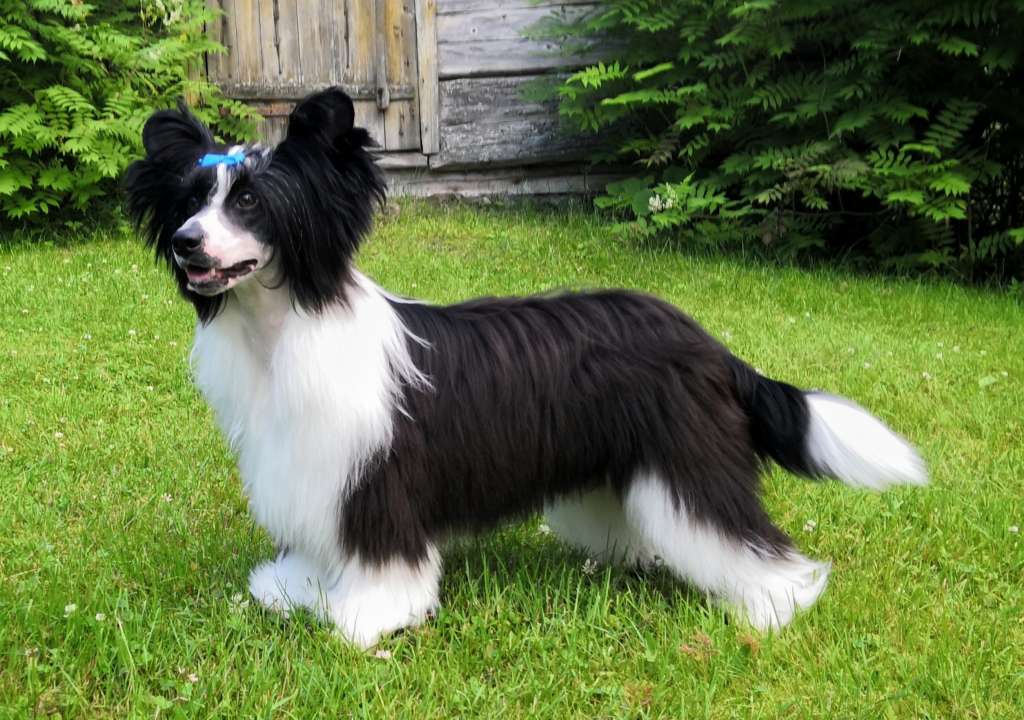 Jean Dark Say You Say Me