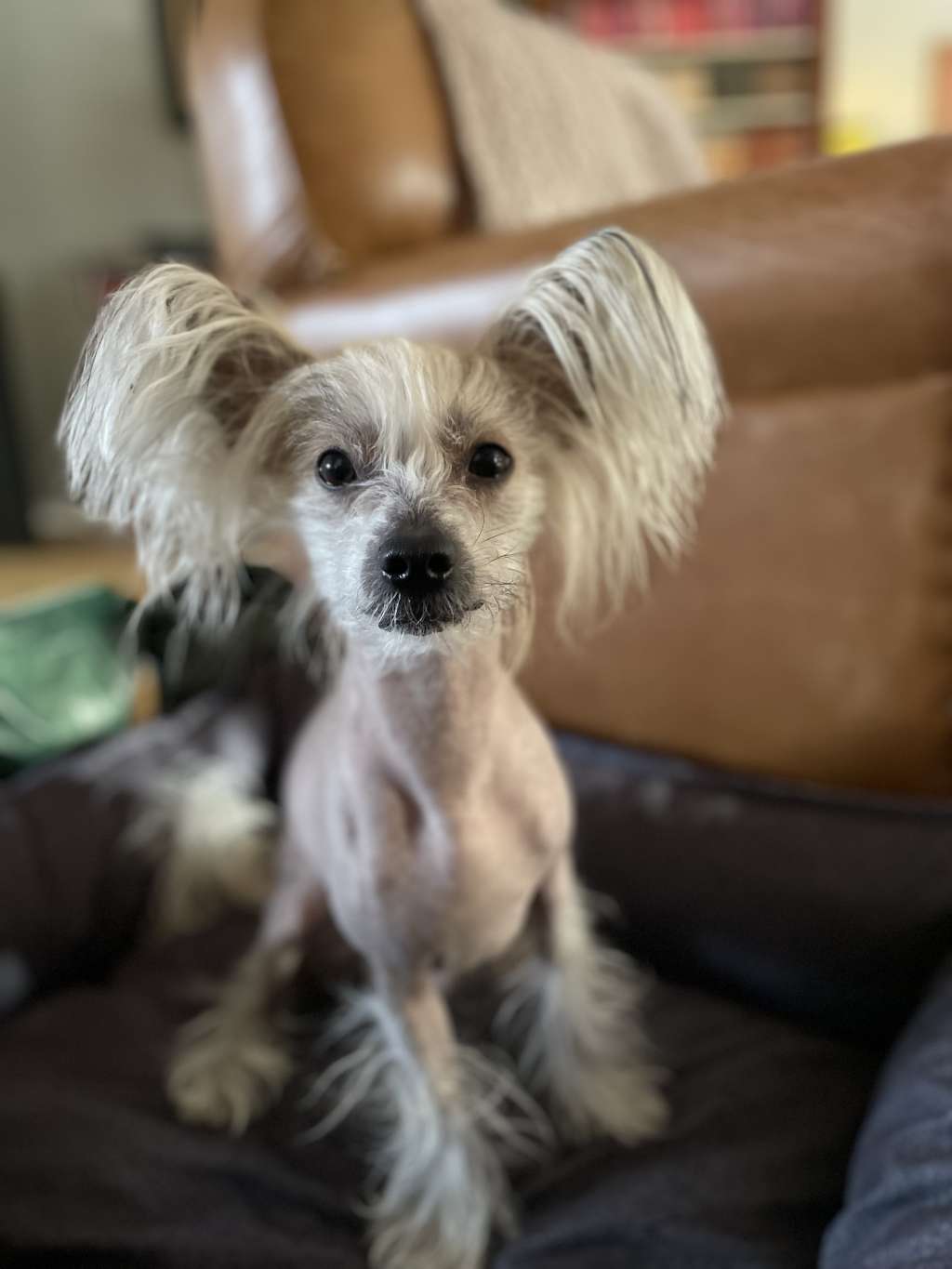 Andrakebyn's Green Lantern