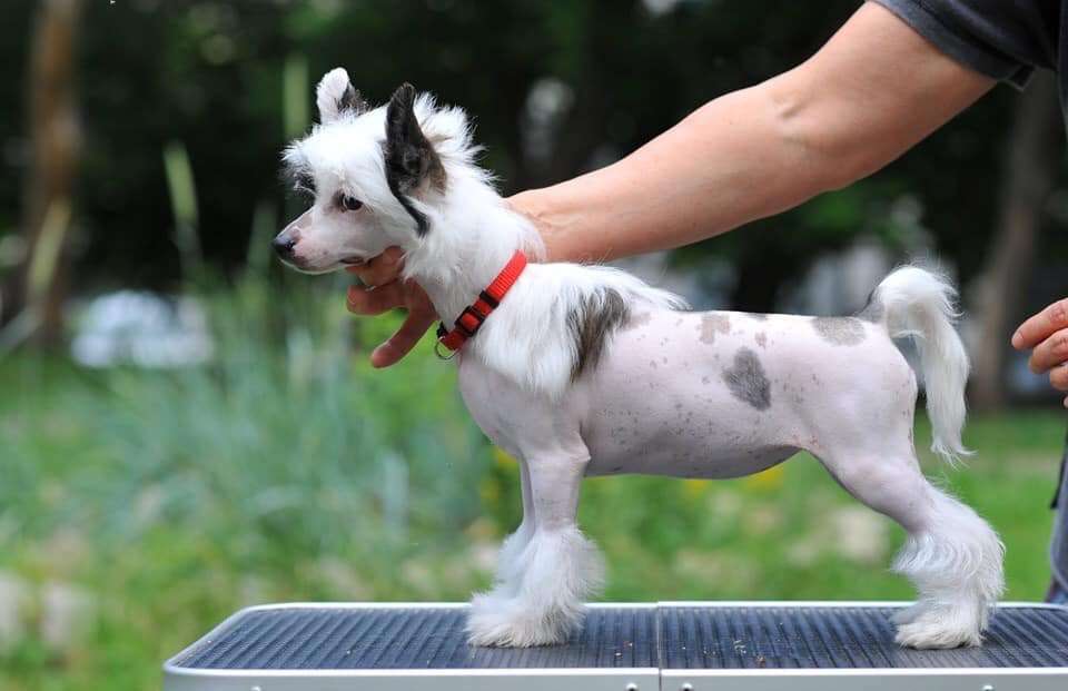 Kranar River of Believe