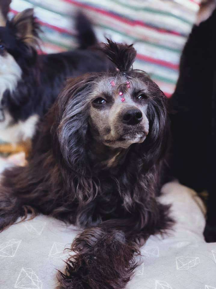 Kim Kardashian Lybóriu's Legacy