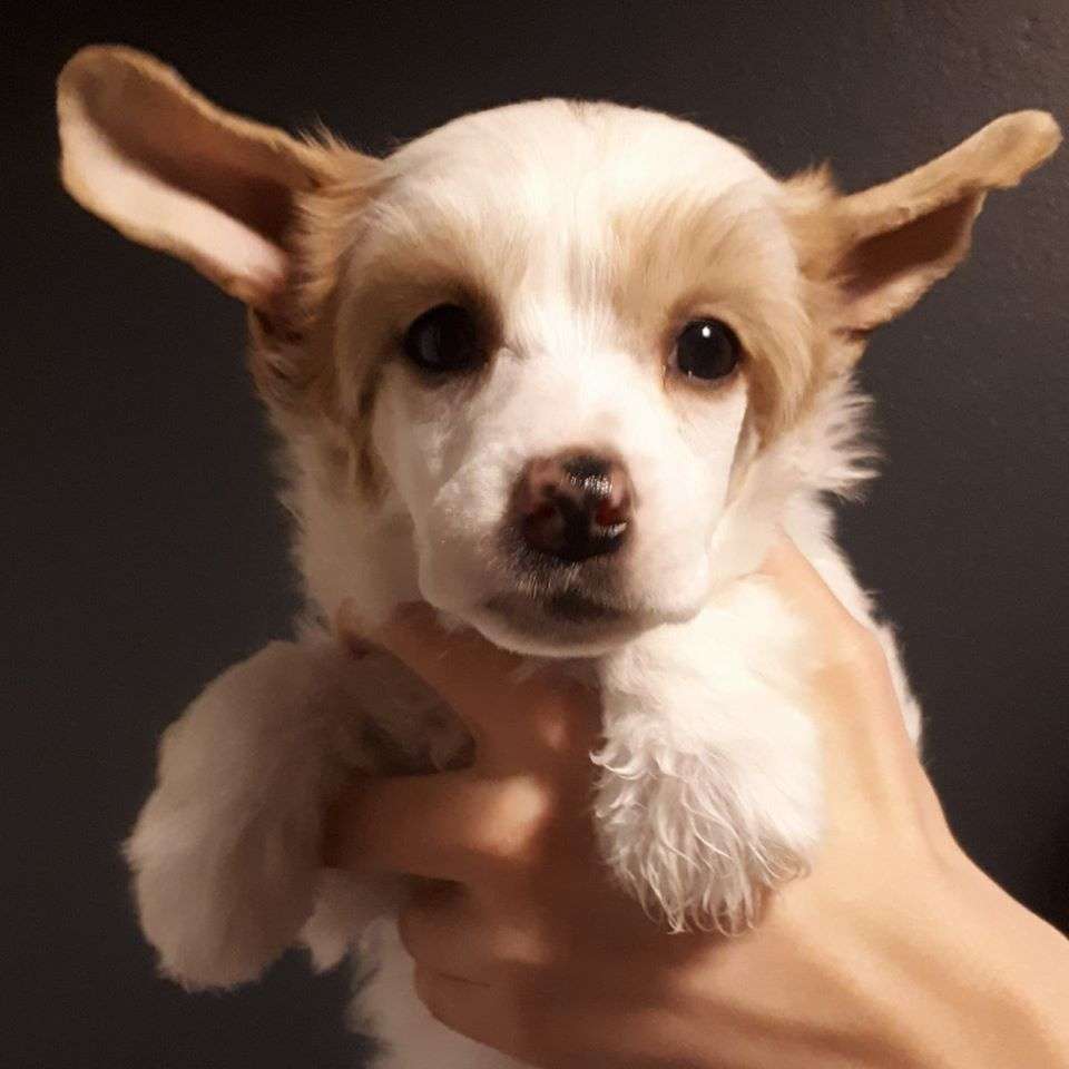 Concrete Clouds Send In The Clowns