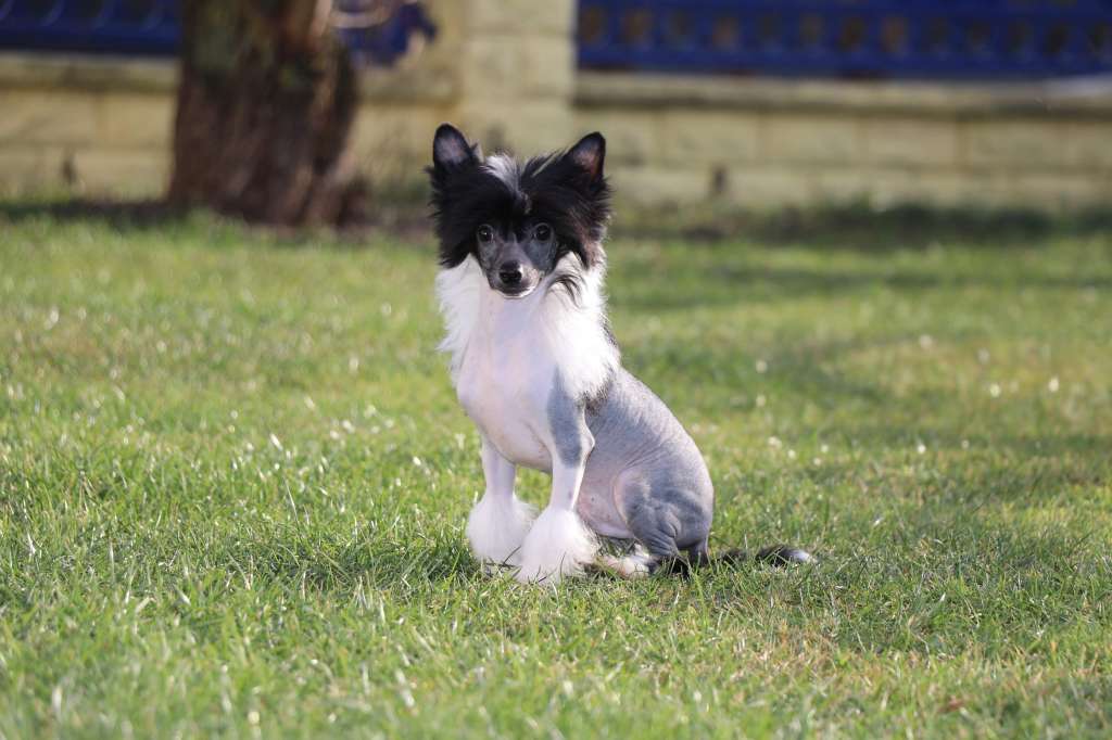 Beautiful Glow Vom bayrischen Meer