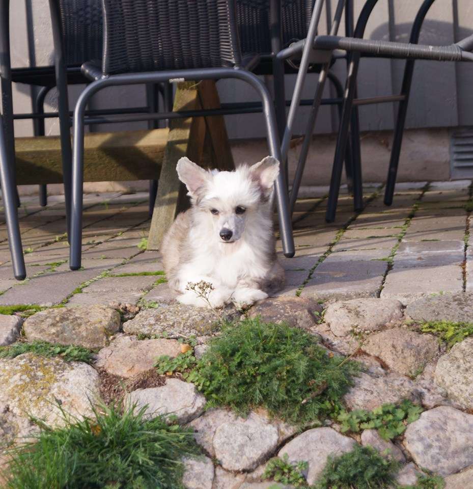 Miakoda's I'm A Legend Tonight