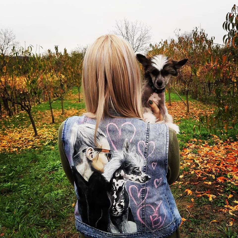 CHasing tne Sun Avokaduh