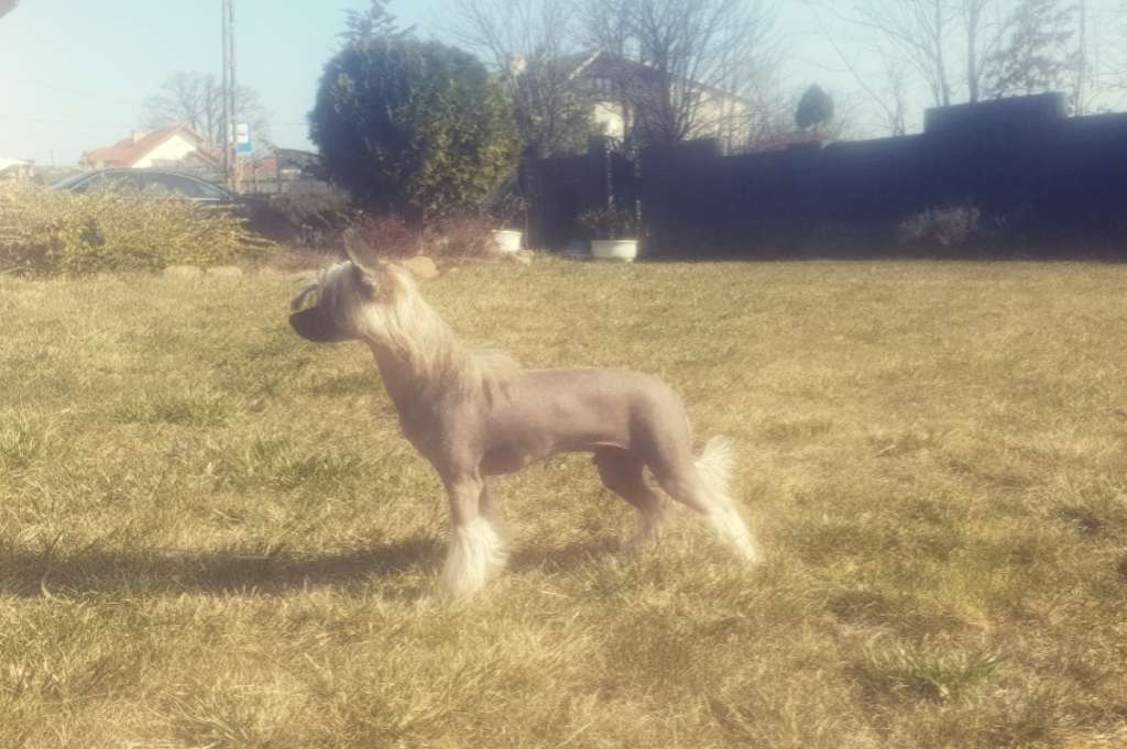 Bohatyrowicz Ragnar Aurinova