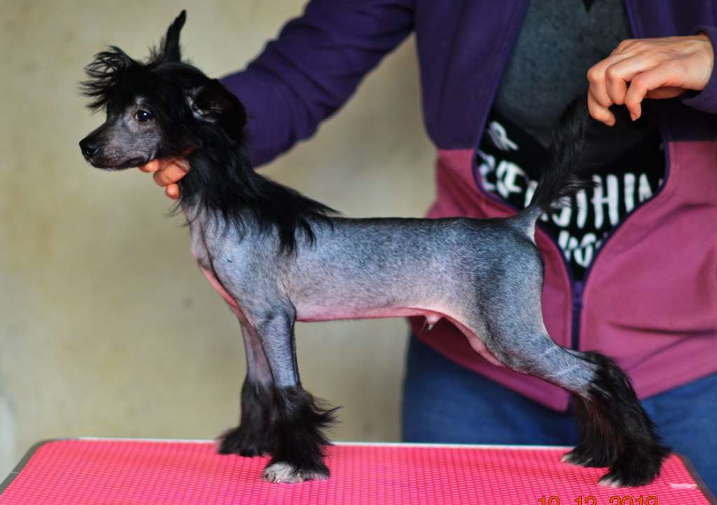 Onyx iz Sozvezdiya Khana