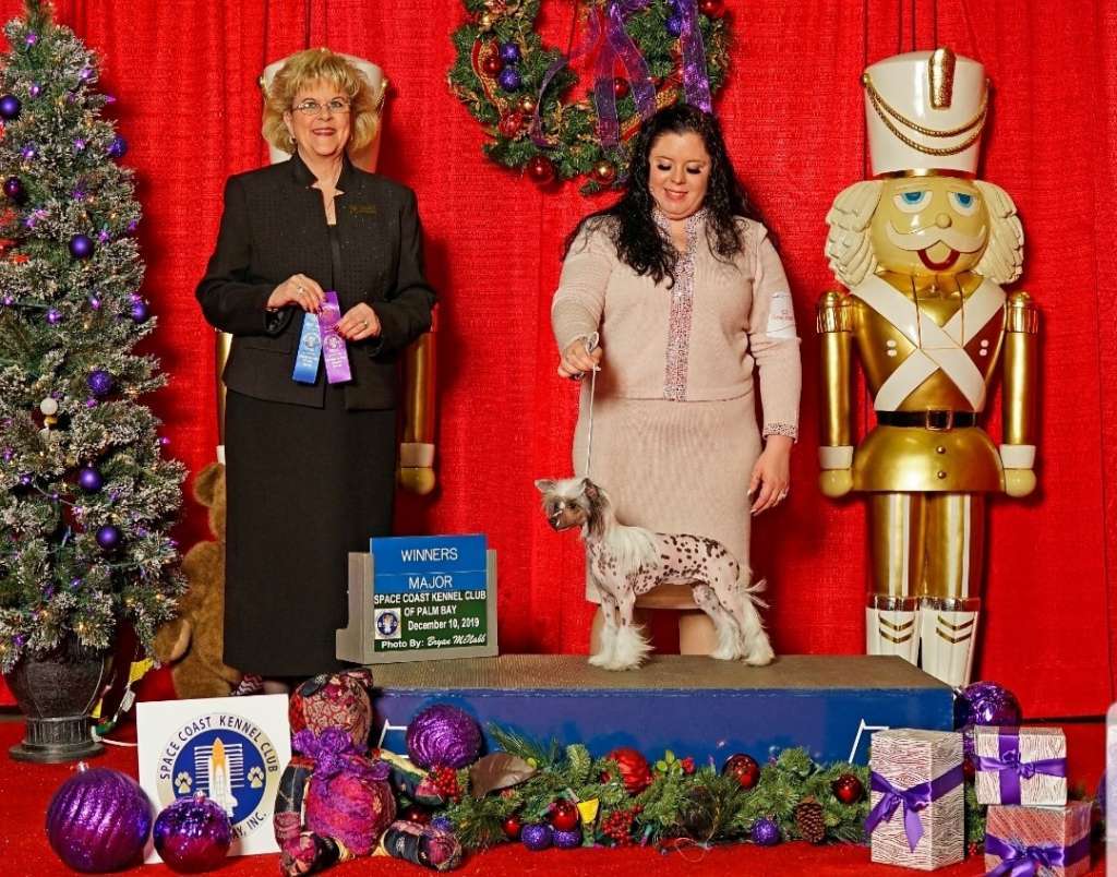 Edelweiss The Winning Hand At Newcrest