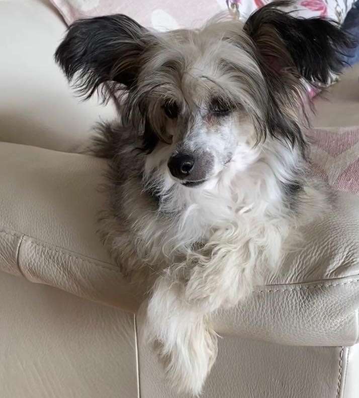 Crestilux Desert Dusk