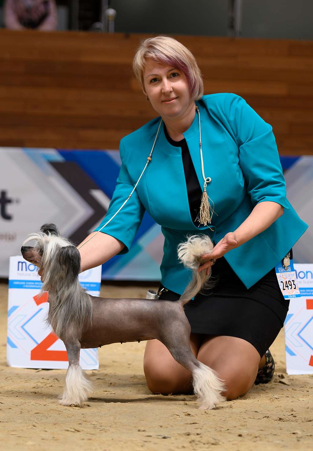 Apriori Vip Fata-Morgana