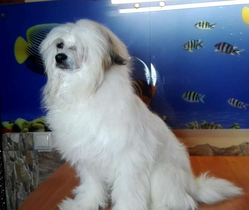 Vinner Iz Chudnoy Doliny