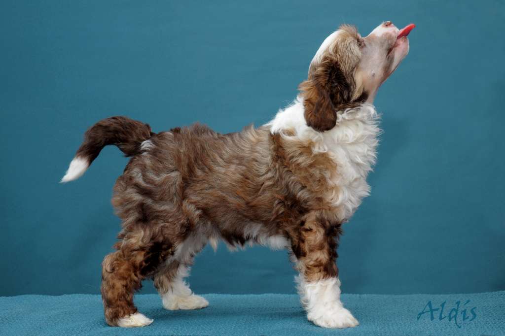 Practical Hero You Cant Catch Me